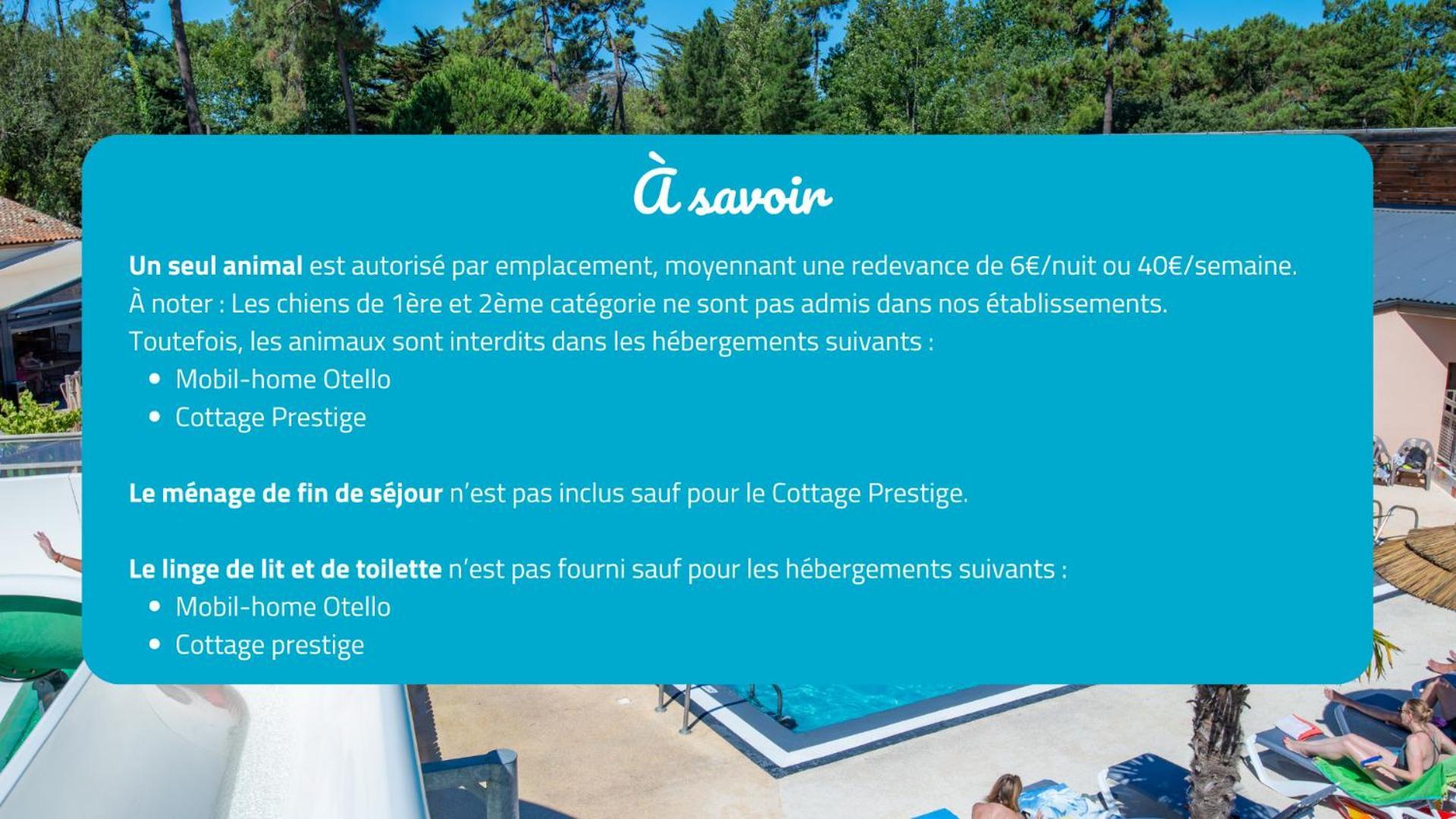 Camping Signol Boyardville Eksteriør billede